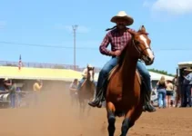 Jaguariúna Rodeo Festival 2026