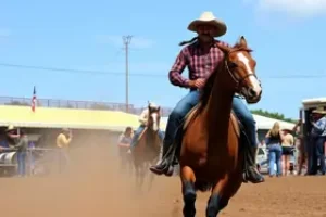 Jaguariúna Rodeo Festival 2026