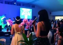 Orquídea Fest 2026