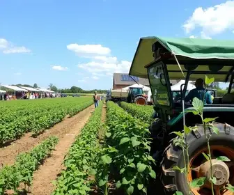 ExpoAgro Capivari