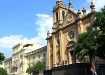 Viçosa 155 anos